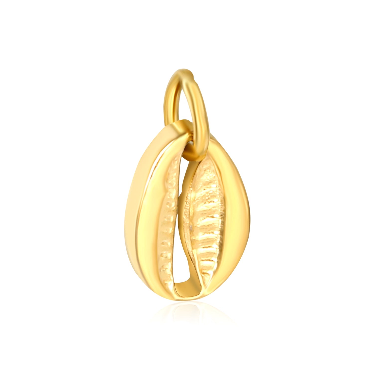 Double-sided hollow shell 8x11.5mm with 1x6 open rings, accessories in gold (no necklace) asonjewelry
